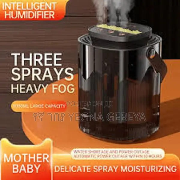 Three Nozzles Humidifier
