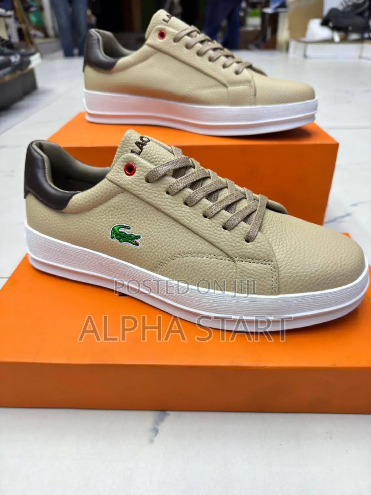 Lacoste Flat 3 Color High Master Quality Lather Smooth Sho