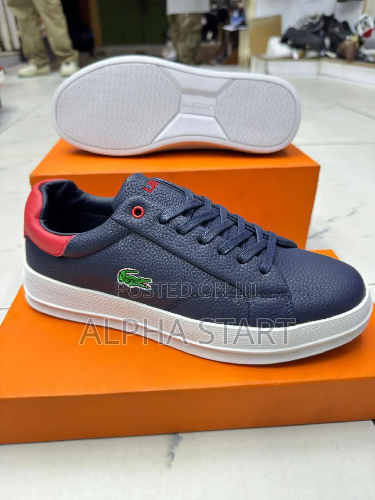 Lacoste Flat 3 Color High Master Quality Lather Smooth Sho