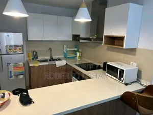 Furnished 2bdrm Apartment in Bole for rent