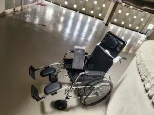 Wheelchair法官wheelchair妖孽wheelchair怏跑wheelchair萊費wheelchair