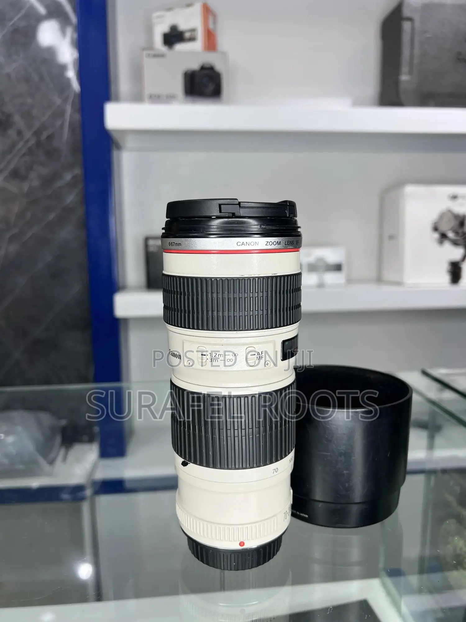 Canon Zoom Zebra Lens 70-200 Mark1