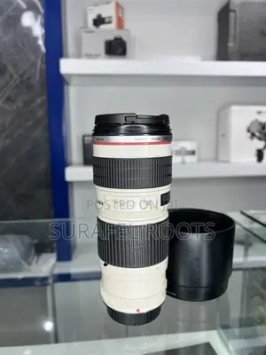 Canon Zoom Zebra Lens 70-200 Mark1