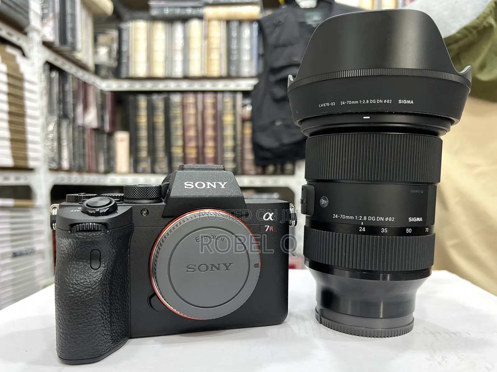 Sony Alpha 7r Iv Exmore With Sigma 24-70mm