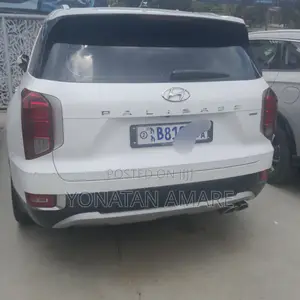 Hyundai Palisade 2022 White