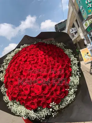 Photo - Girl Friend Day