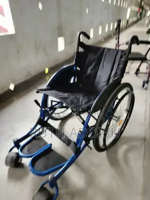 Wheelchair狗兒wheelchair腕帶wheelchair三級wheelchair達人wheelchair