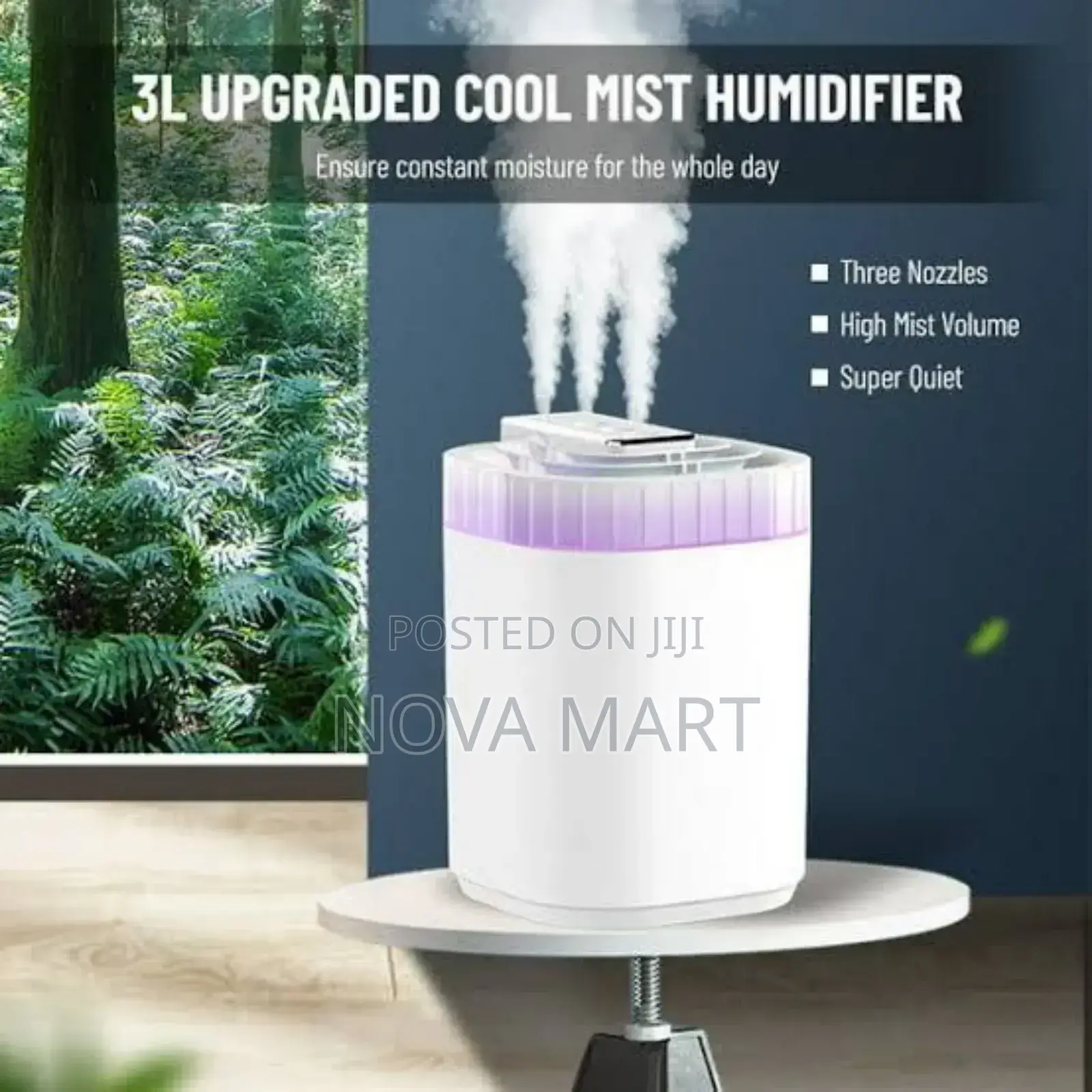 Three Nozzles Humidifier