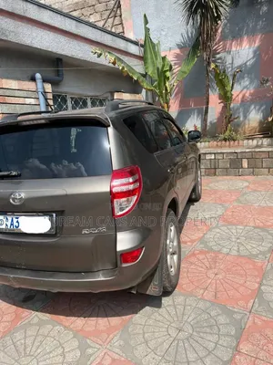Toyota RAV4 2.5 2010 Gray