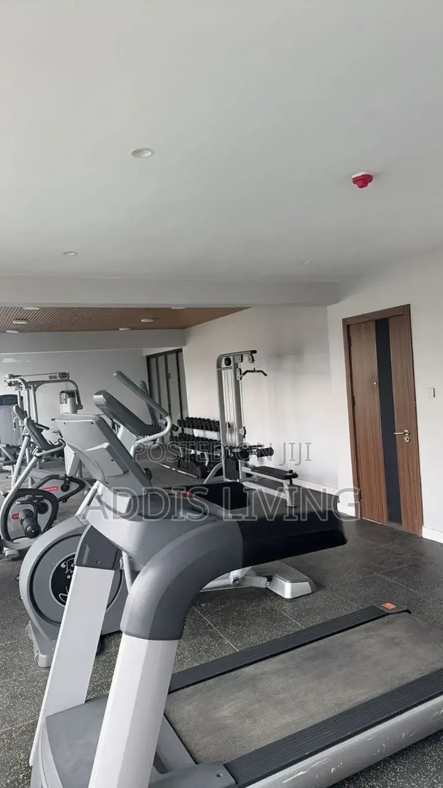 Furnished 3bdrm Apartment in Bole for rent