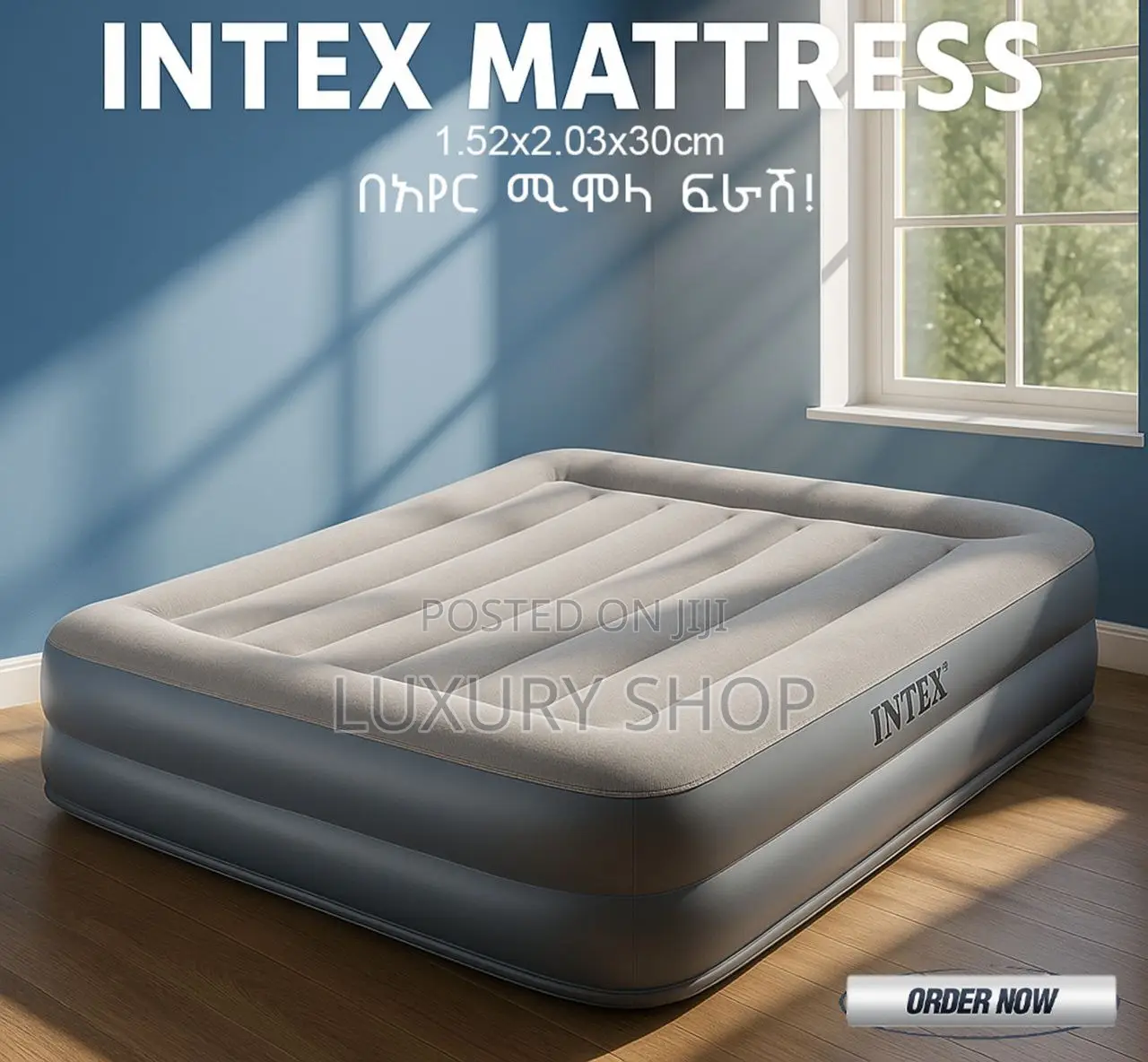 Intex Air Mattress