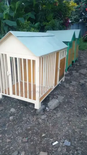 Kennel የውሻቤት, Dog House, Dog Cage,