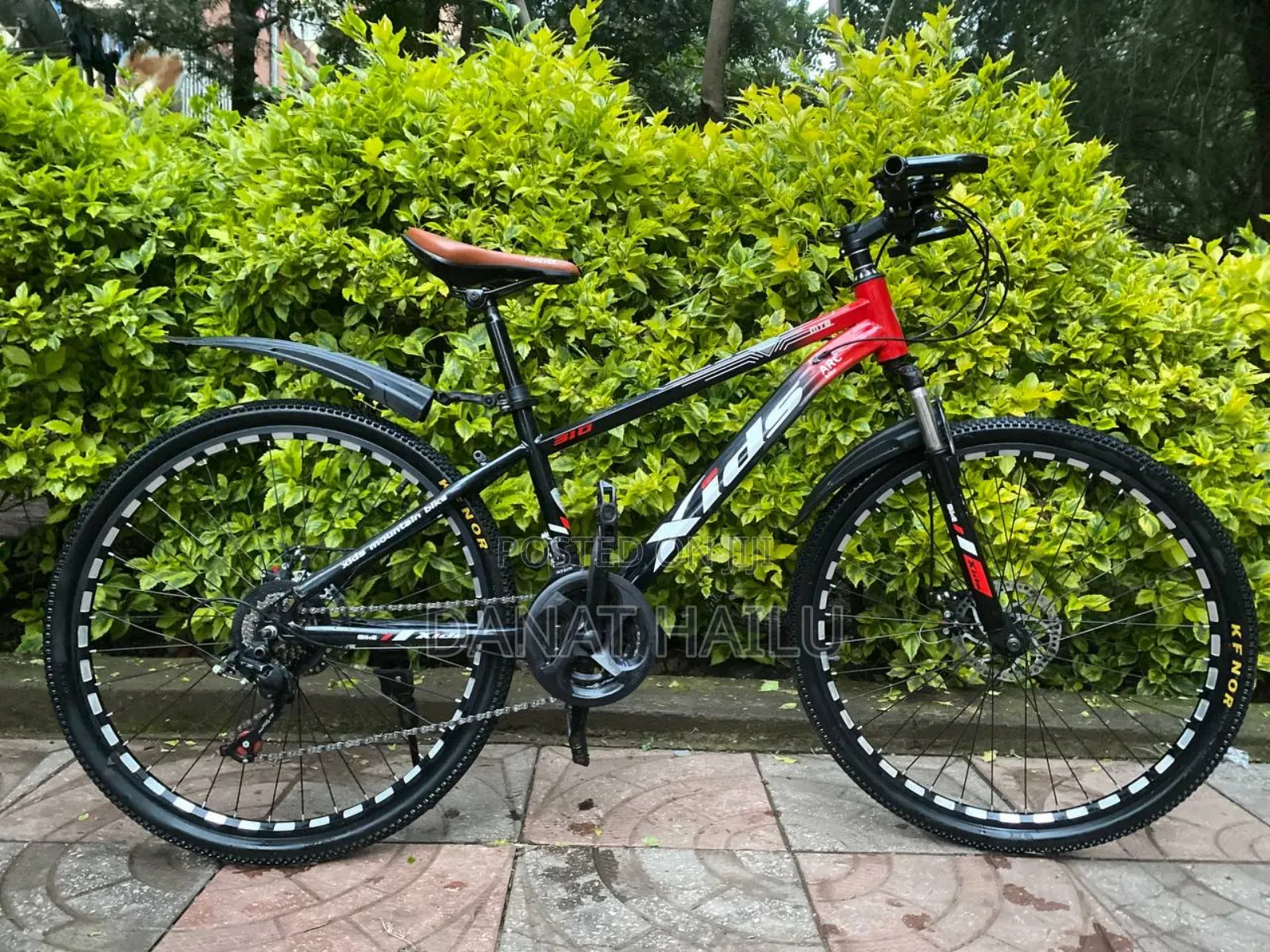 Mountain Bike Biycle Cycle