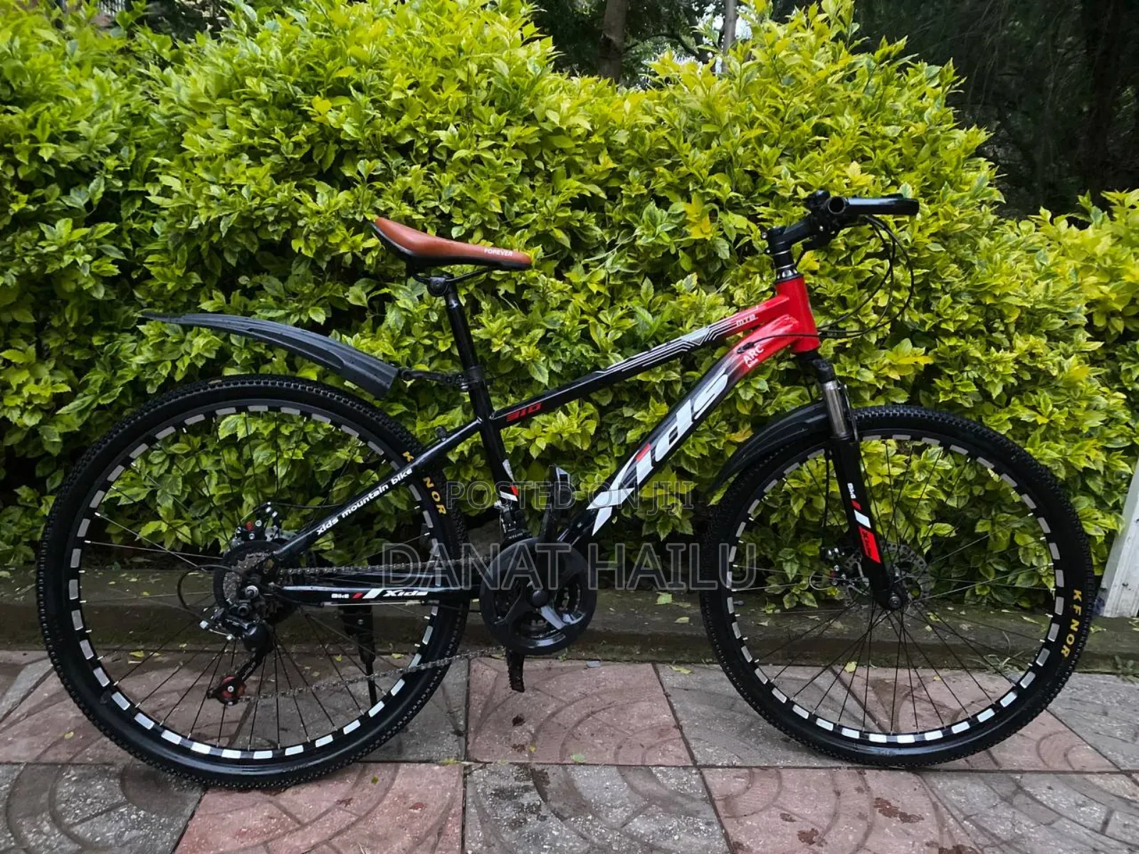 Mountain Bike Biycle Cycle