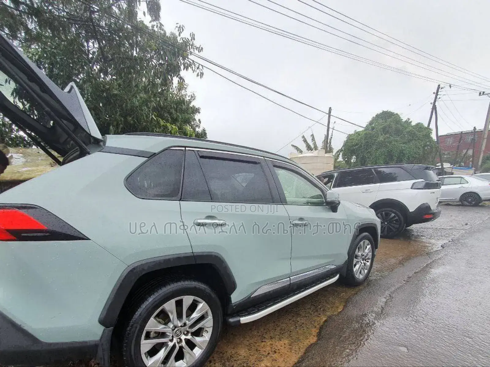 Toyota RAV4 2021 Green