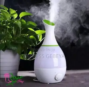 Ultrasonic Humidifier