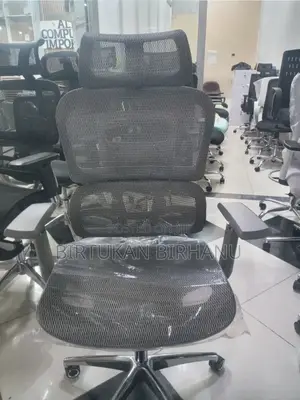 Ergonomic Office Chair