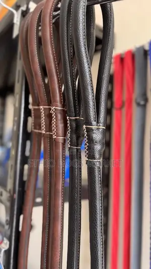 Super Strong Leash and Collar