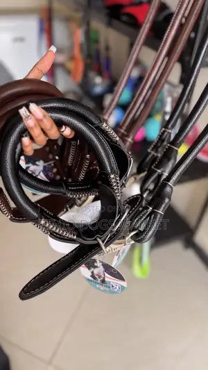 Super Strong Leash and Collar