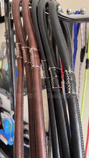 Super Strong Leash and Collar