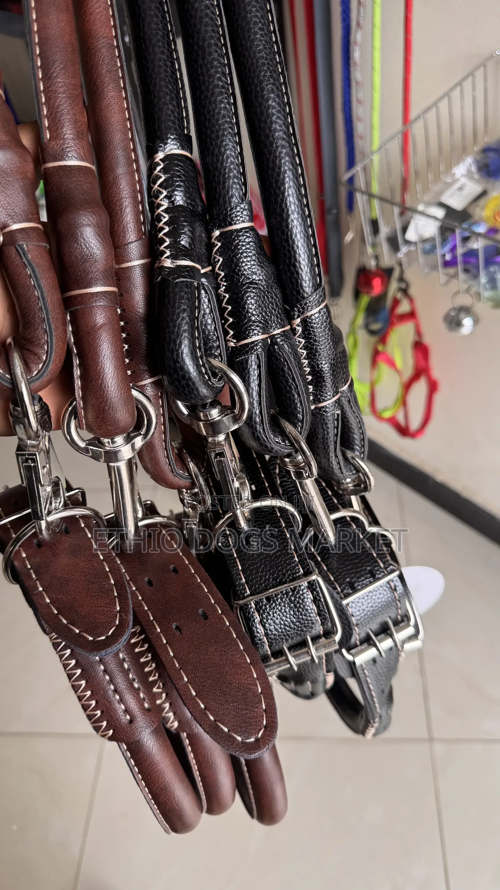 Super Strong Leash and Collar