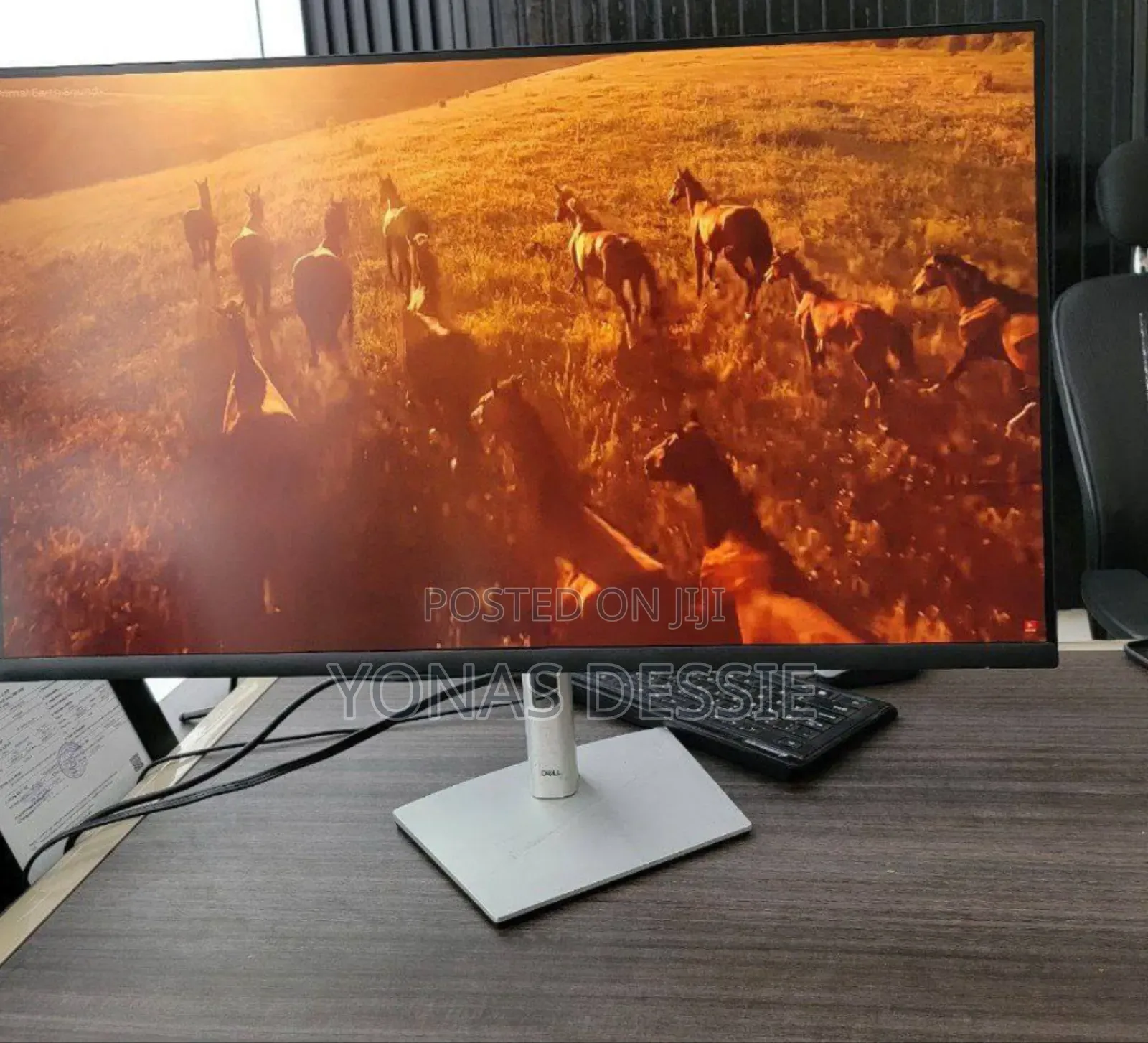 Dell Monitor