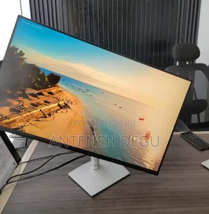 Dell Framless Monitor