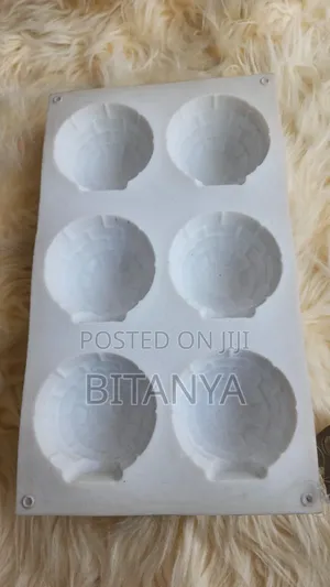 ሲልከን ሞልድ | Silicone Moulde