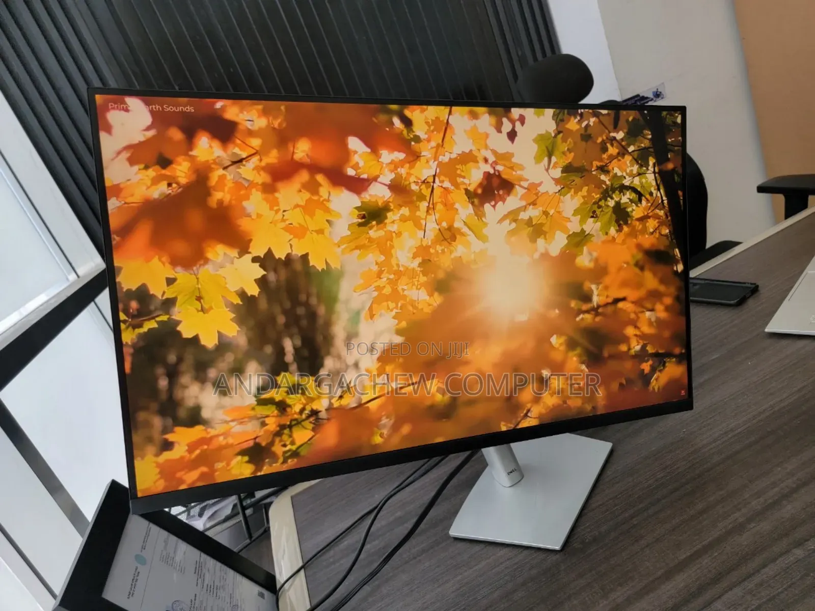 Dell 32" Monitor
