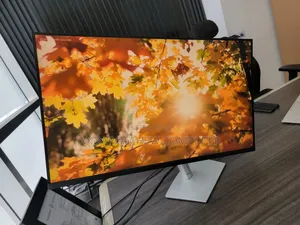 Dell 32" Monitor