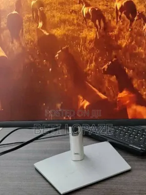 Photo - Dell Frameless Monitor