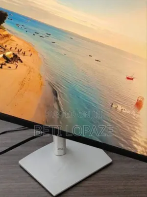 Dell Frameless Monitor