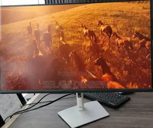 Photo - Frame Less Monitor
