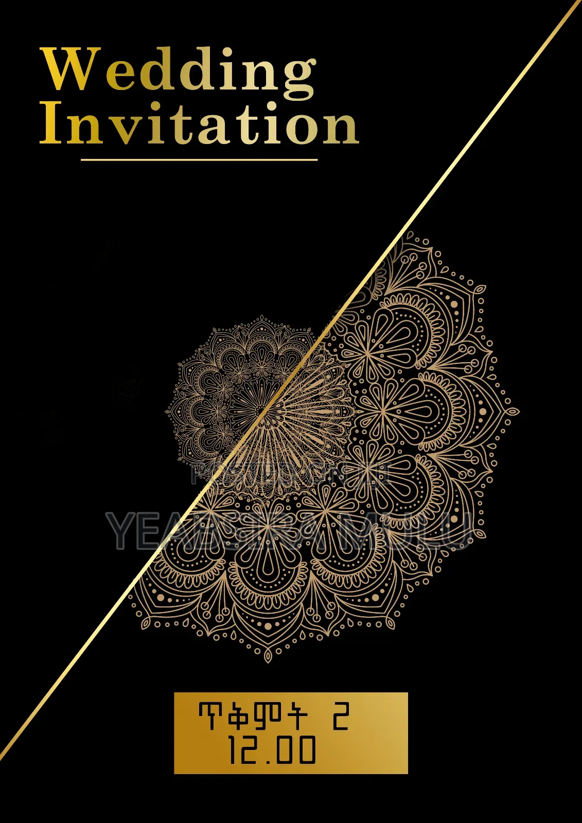 Graphics Designer/Video Editor