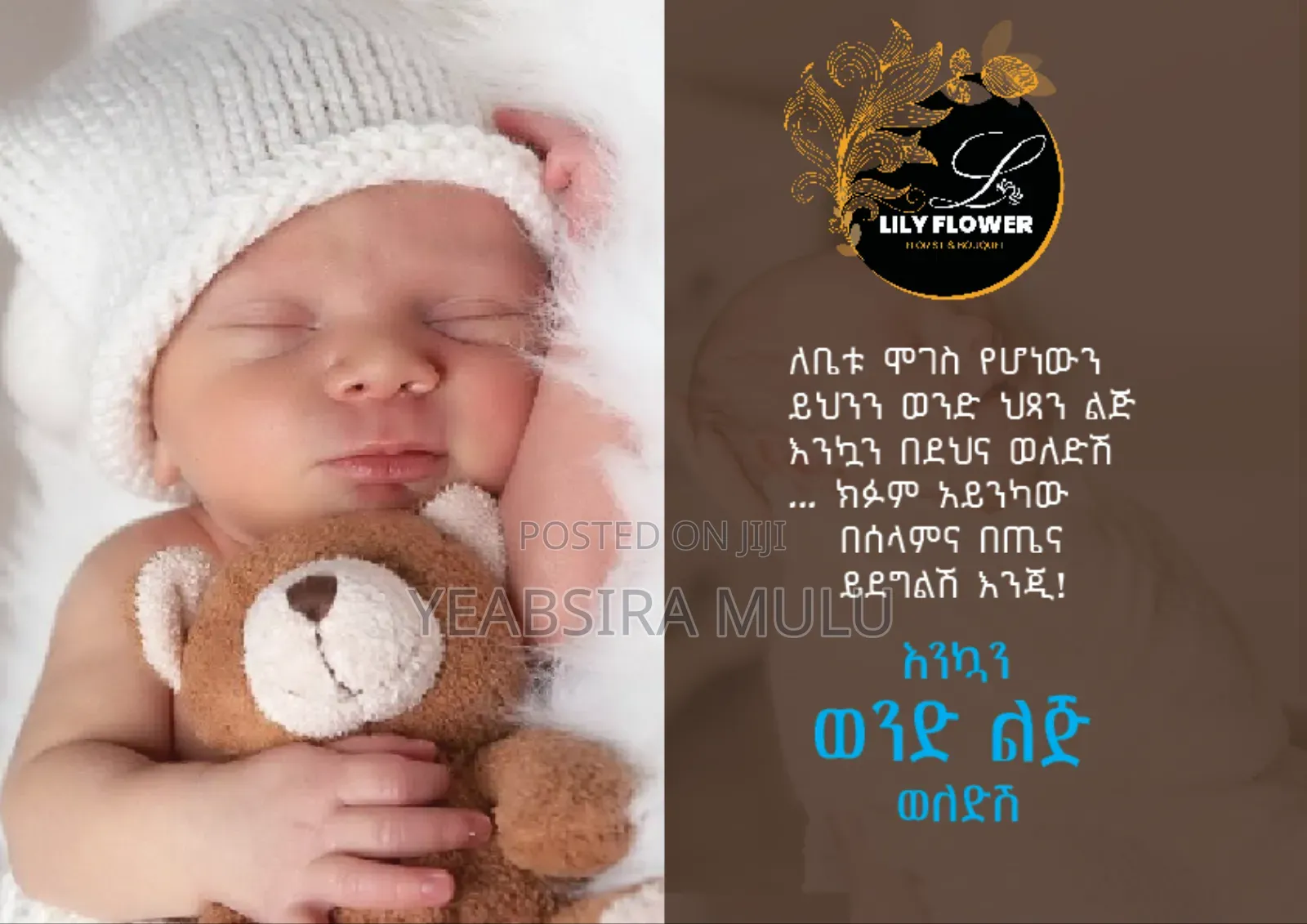 Graphics Designer/Video Editor