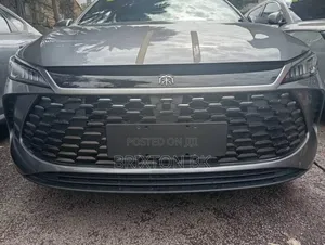 Photo - New BYD Qin Plus DM-i 2025 Gray