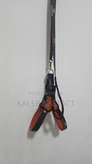 Complet Saddle Dog Harness