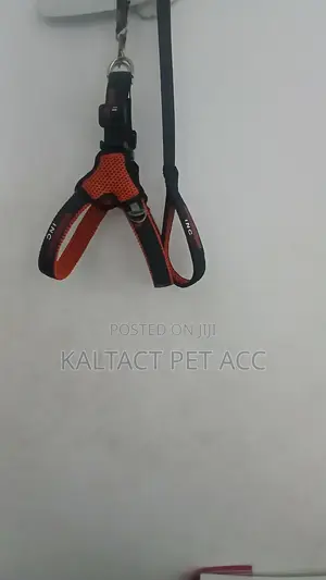 Complet Saddle Dog Harness
