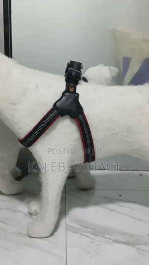 Photo - Complet Saddle Dog Harness