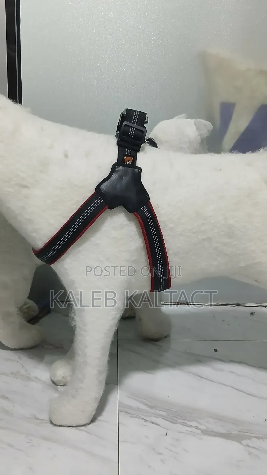 Complet Saddle Dog Harness