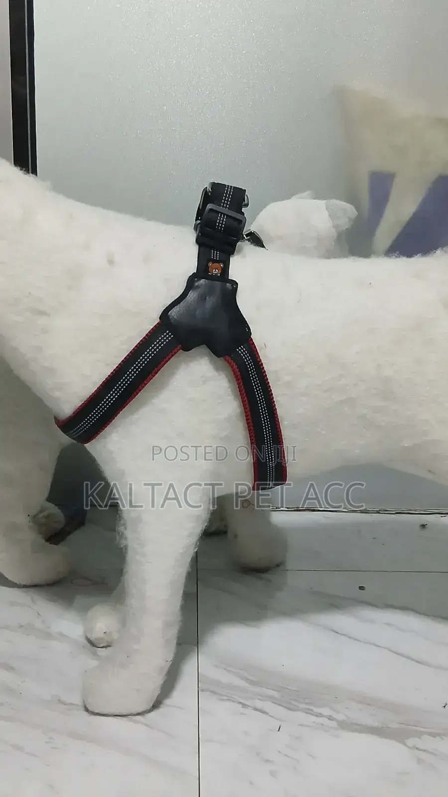 Complet Saddle Dog Harness