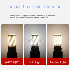 Led Light Bulb