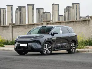 Photo - New BYD Tang DM-i 2025 Gray