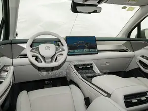 New BYD Tang DM-i 2025 Gray