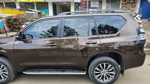 New Toyota Land Cruiser Prado 2023 Brown