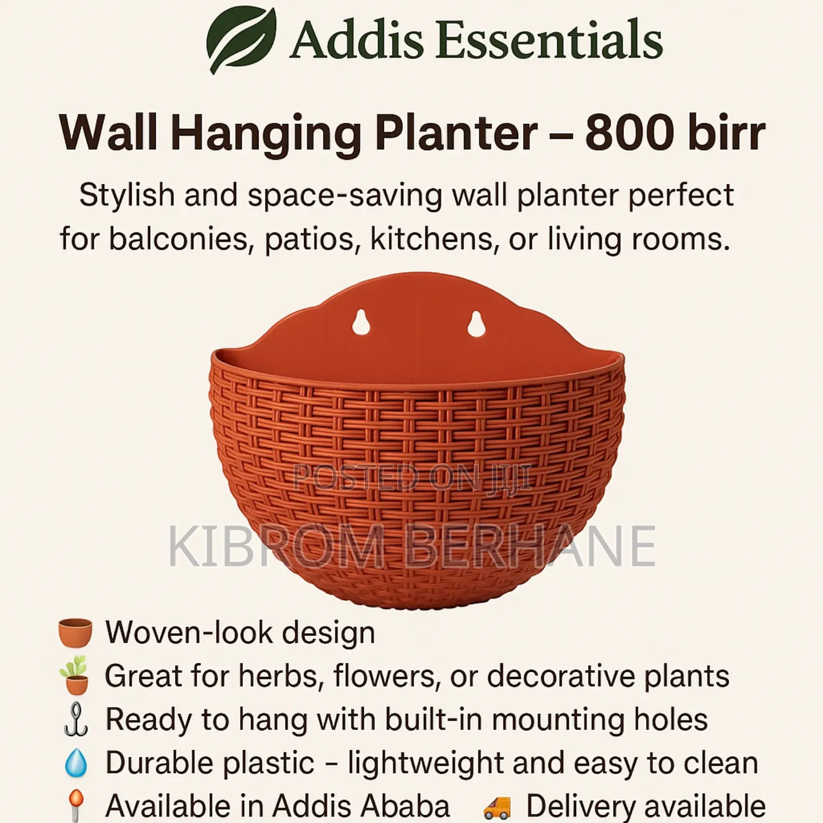 Wall Hanging Planter