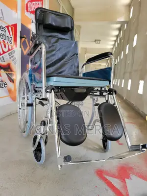 3in1=Multi-Purpose Wheelchair蛋蛋wheelchair斐蠟wheelchair| Whee