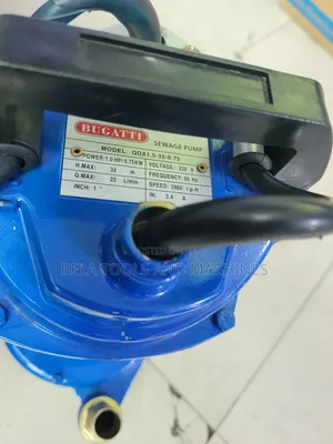 Bugatti 1hp Submersible Pump