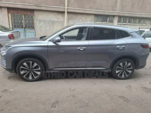 New BYD Song Plus 2024 Gray