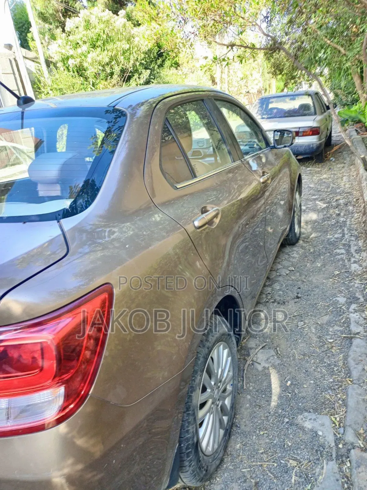 Suzuki DS 2021 Brown